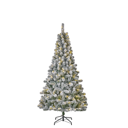 Black Box Trees Millington | Sneeuw en LED | H185cm