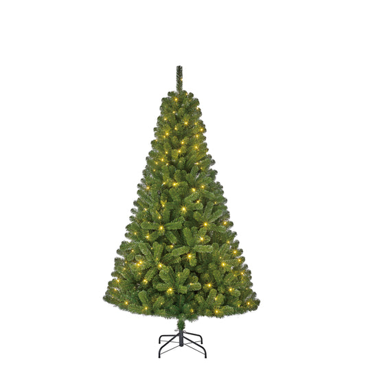 Black Box Trees Charlton met LED | H185cm