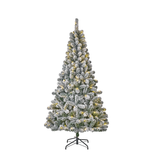 Black Box Trees Millington | Sneeuw en LED | H215cm